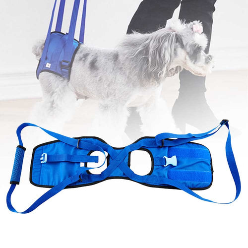 Blue disabled dog support walking assist harness with adjustable straps and padded handle for injured or senior pets