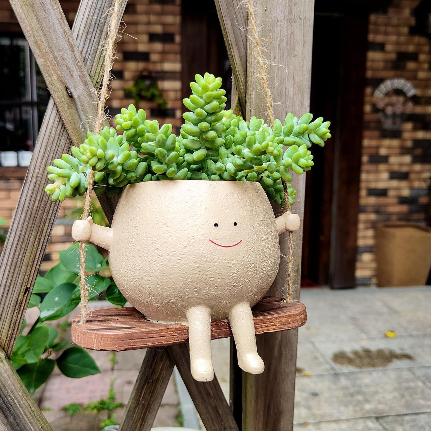 🌿 Swing Face Hanging Planter Pot