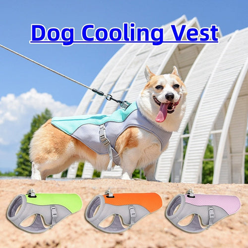 Small dog wearing breathable summer pet dog cooling vest in light blue, shown with additional vests in green, orange, and pink colors on sandy outdoor background.