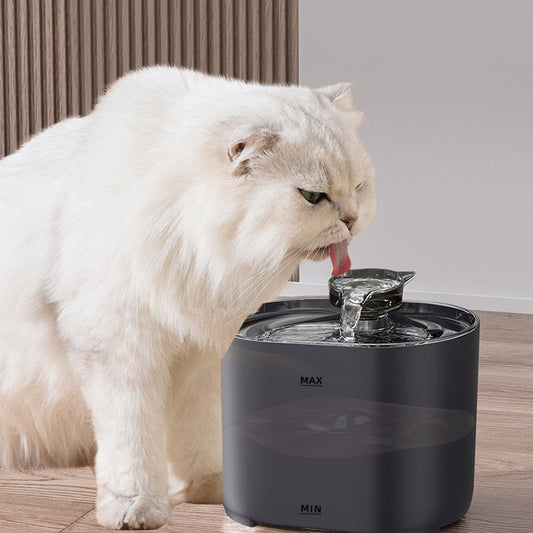 White cat drinking from a sleek black cat automatic water dispenser with circulating water
