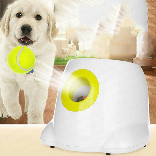 Dog holding tennis ball near white and yellow automatic interactive ball launcher indoors