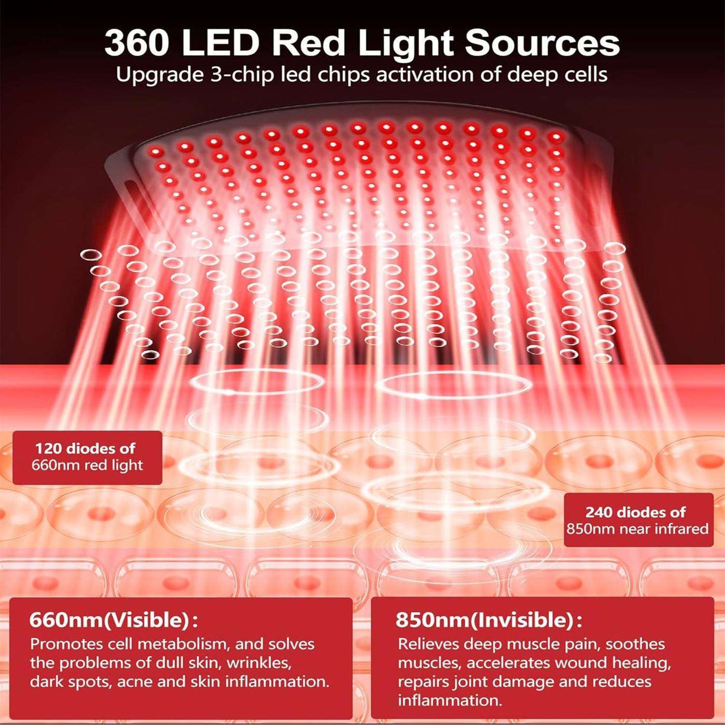 Red Light Therapy Belt