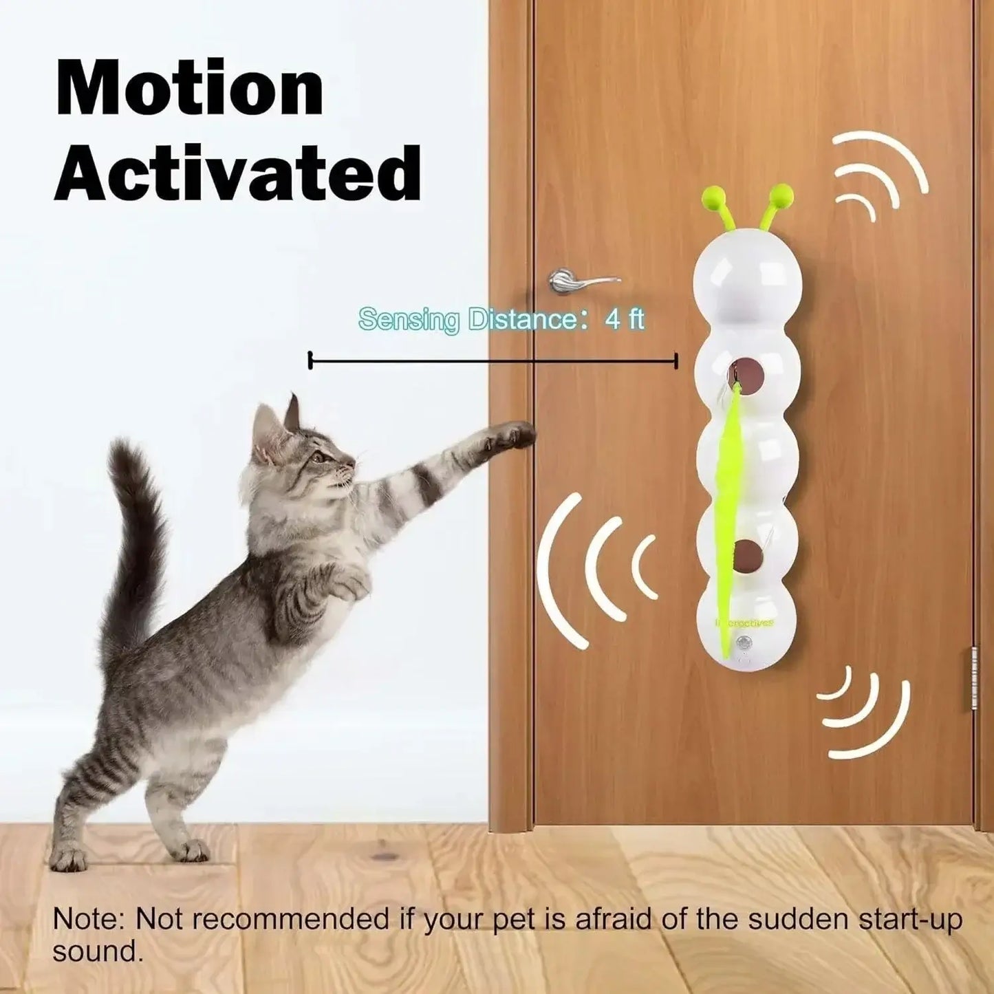Multi-cat household playing with interactive teaser toy