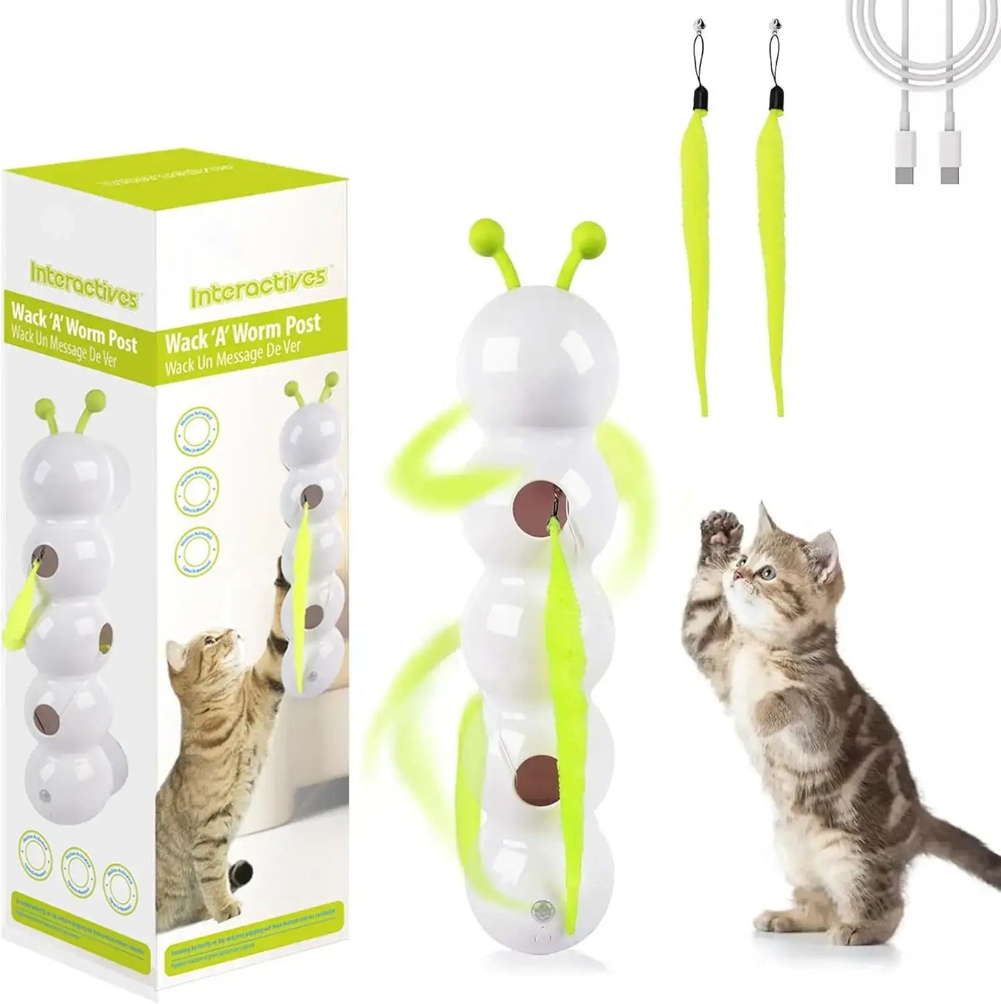 Multi-cat household playing with interactive teaser toy