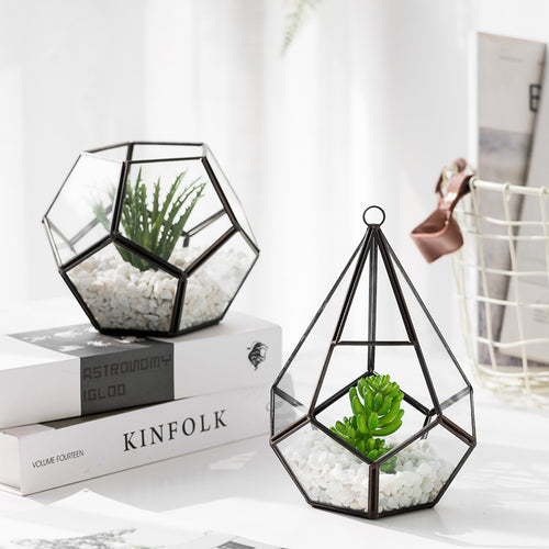 Modern Metal & Glass Bonsai Flower Pot