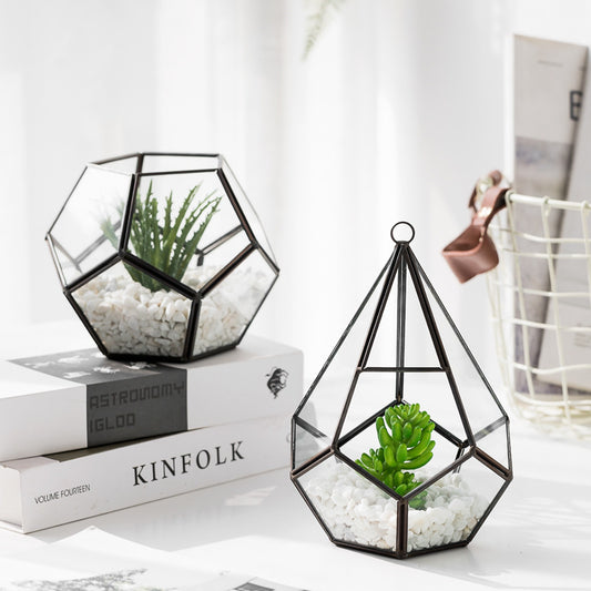 Modern Metal & Glass Bonsai Flower Pot