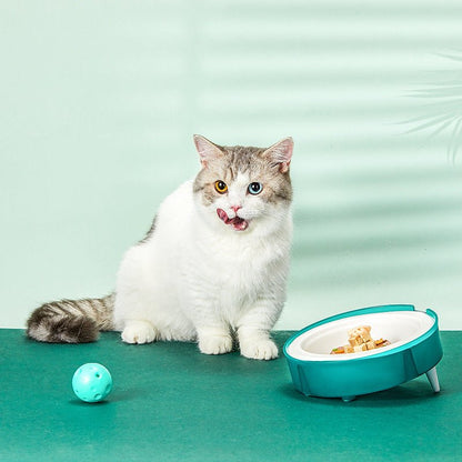 Eco-friendly pet feeding bowl set with 15° tilted holder, non-slip base, and replaceable biodegradable bagasse paper bowls for cats and small dogs.