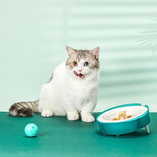Eco-friendly pet feeding bowl set with 15° tilted holder, non-slip base, and replaceable biodegradable bagasse paper bowls for cats and small dogs.