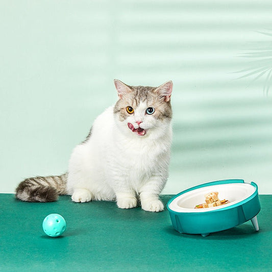Eco-friendly pet feeding bowl set with 15° tilted holder, non-slip base, and replaceable biodegradable bagasse paper bowls for cats and small dogs.