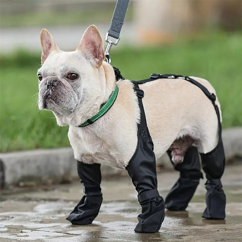 Suspender Dog Boots (Ultimate Paw Protection)