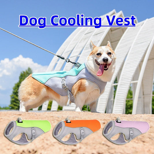 Small dog wearing breathable summer pet dog cooling vest in light blue, shown with additional vests in green, orange, and pink colors on sandy outdoor background.