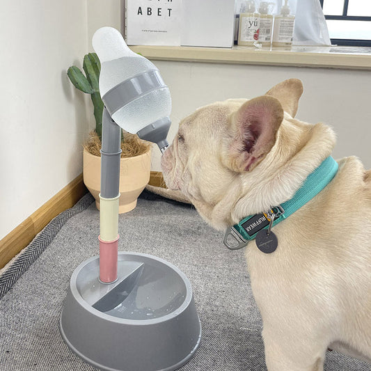 automatic pet water dispenser with adjustable stand and spill-proof bottle used by a small dog with turquoise collar