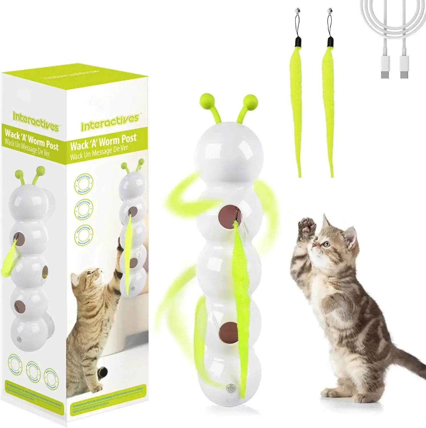 Multi-cat household playing with interactive teaser toy